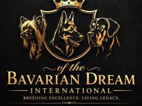 of the Bavarain Dream