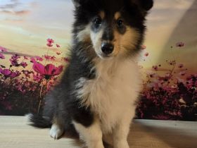 Die lustige Reese ist bereit für neue Abenteuer in ihrer eigenen Familie