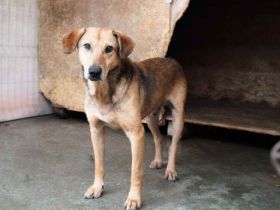 Verunsicherter Karlo sucht seinen sicheren Hafen