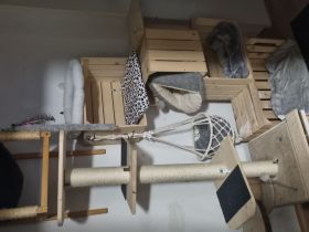 Ernamtlich pflegestelle für kleine-Zwerge Katzen