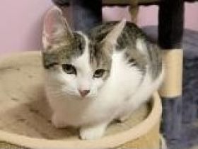 Mascha, Irina, Anastasia, Vladimir, Vitali und Victoria