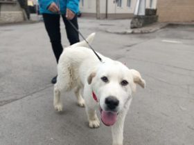 Hallo, ich bin Annabelle!