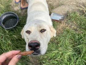 Hallo, ich bin Annabelle!