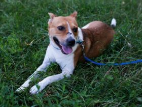 Hallo! Ich bin Myko!