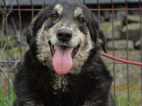 Casper wartet schon auf dich!