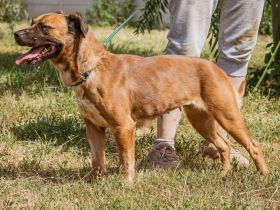 Izabell, möchte Euch nicht Allein lassen