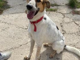 Schaut euch Max an !