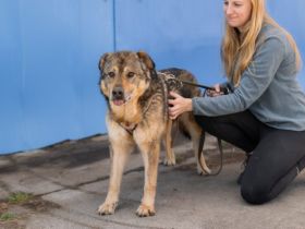 Schenkst du Mani ein warmes Für-Immer-Körbchen
