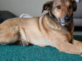 MacKenzie zeigt sich als lieb und freundlich