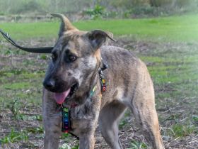 Jennifer - ein liebes Mädchen