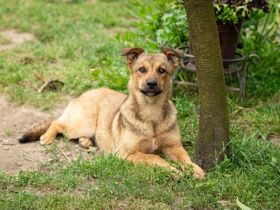 Tara ist bereit in ein neues Leben zu starten