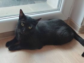 Der charmante Toby ist bereit für sein neues Zuhause!