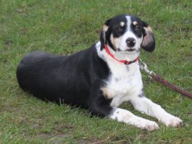 Luna - wo wartet meine Familie?