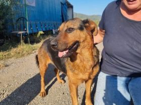 Findet Angua bei dir ein schönes Hundeleben?