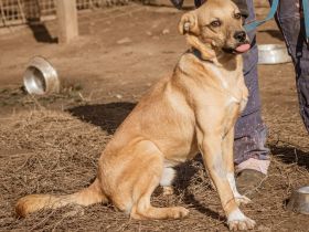 Arni, noch sehr jung, möchte er viel lernen