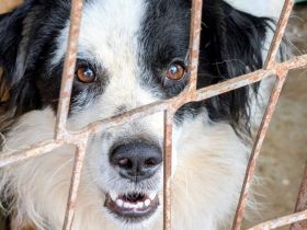 Charismatischer Elton sucht seine Familie