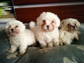 Stillhalten is nich...