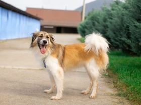 Freundliche und zugewandte Sun