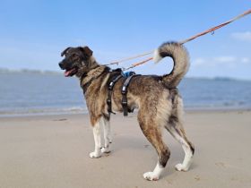 Bria möchte endlich ankommen