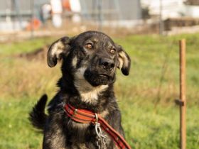 Matteo wartet auf seine Familie
