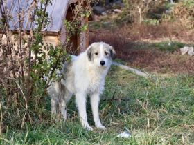 Ylvi sucht ihren Platz im Leben!