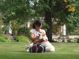 vom Nationalpark Bayrischer Wald