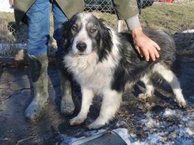 Wer gibt der entzückenden Alice eine Chance?