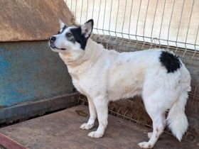 Leonie wünscht sich eine eigene Familie