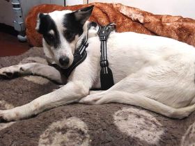 Leonie wünscht sich eine eigene Familie