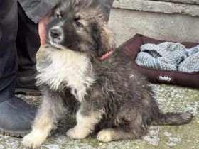 Balthasar - wer sonst?!