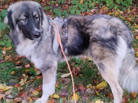 Balthasar - wer sonst?!