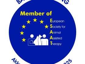 Service Dogs Bodensee