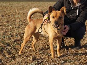 Maggi, mit Hummeln im Hintern sucht Ihre Lieblingsmenschen
