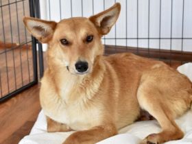 Speranta: Lebensfreude pur auf zwei Beinen und zwei Rädern