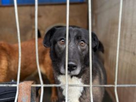 Hier kommt die bezaubernde Venus