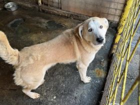 Wer zeigt Boomer, wie sich Liebe wirklich anfühlt?