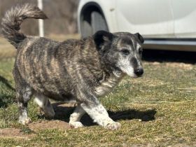 Für Karlchen muss das Glück einen zweiten Anlauf nehmen!
