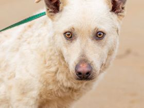 Felhö, anfangs noch sehr schüchtern