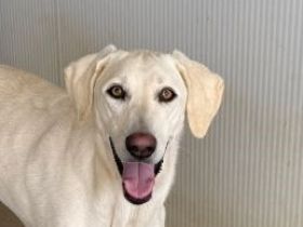 Wunderbare MARTE möchte mit Ihnen durchs Leben gehen