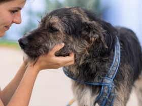 Wo Mika ist, ist das Herz zuhause.