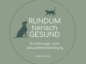 Ernährungs- und Gesundheitsberatung, Mykotherapie & Phytotherapie Hunde & Katzen in Niedersachsen