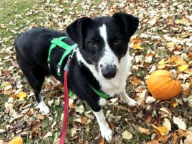 Aponi bereit für ihr neues Leben