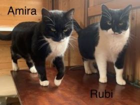 Amira und Rubi