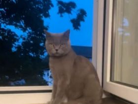 Verschmuste bkh Dame