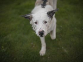 Frohnatur Atlas wartet auf dich!