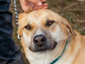 Timida, hübsches Mädel möchte einen Neuanfang starten