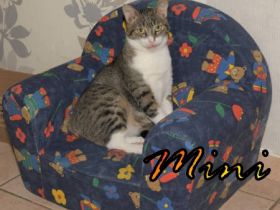 Vermittlungshilfe Mini