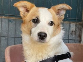 Jenna möchte endlich ankommen