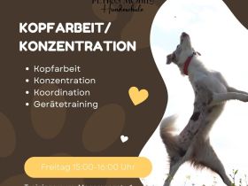 Petras mobile Hundeschule