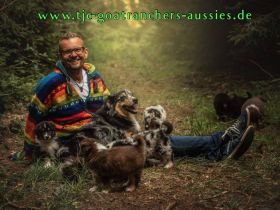 TJC Goatranchers Aussies